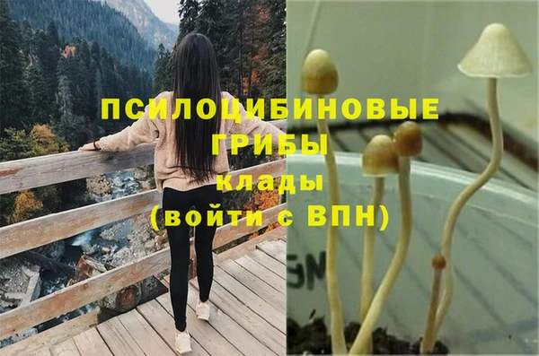стафф Балабаново