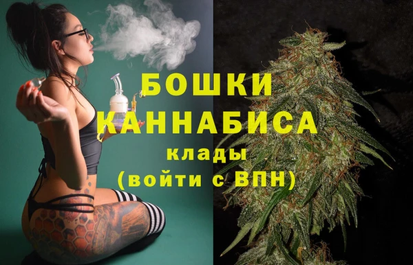 стаф Баксан