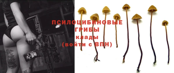 стафф Балабаново