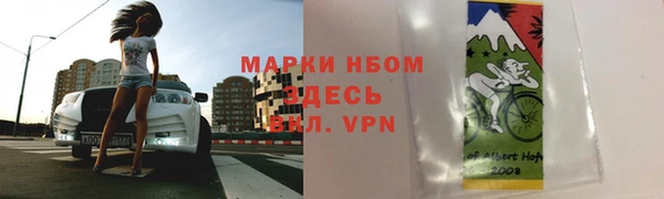 стаф Баксан