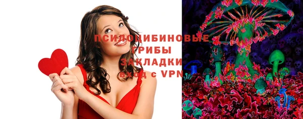 стаф Баксан