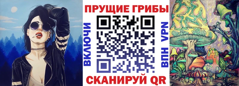 kraken как зайти  закладки  Гудермес  Галлюциногенные грибы Magic Shrooms 